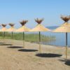 Sunshade in ditch reed (diameter cm 210 / 230 / 250) - Image 5