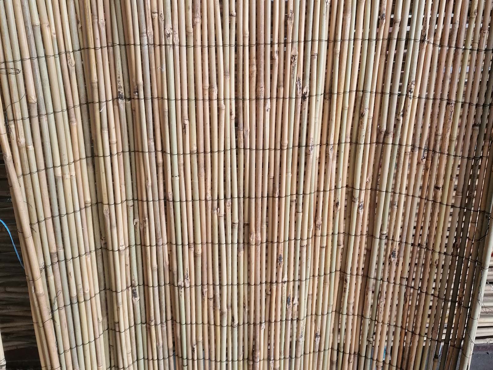 Stuoia di Bamboo - Lacep - Lavorazione canna Palustre